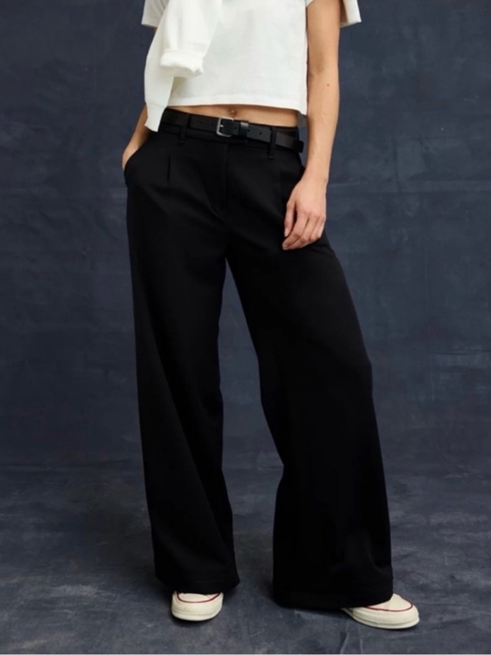 American Eagle Outfitters Baggy Flare Trousers NWOT